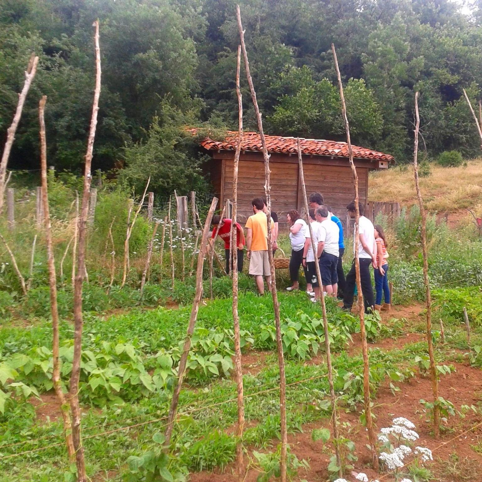 Agroturismo Mari Cruz Villanueva de Arce Exterior foto